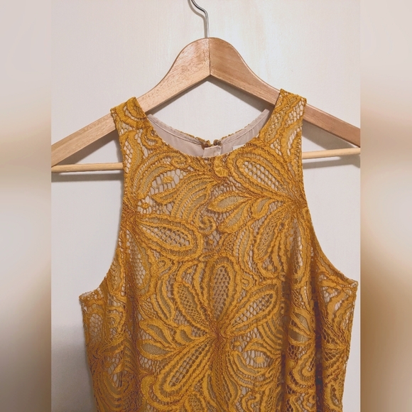 Babaton Henry Lace Dress Size 6 - Picture 2 of 5